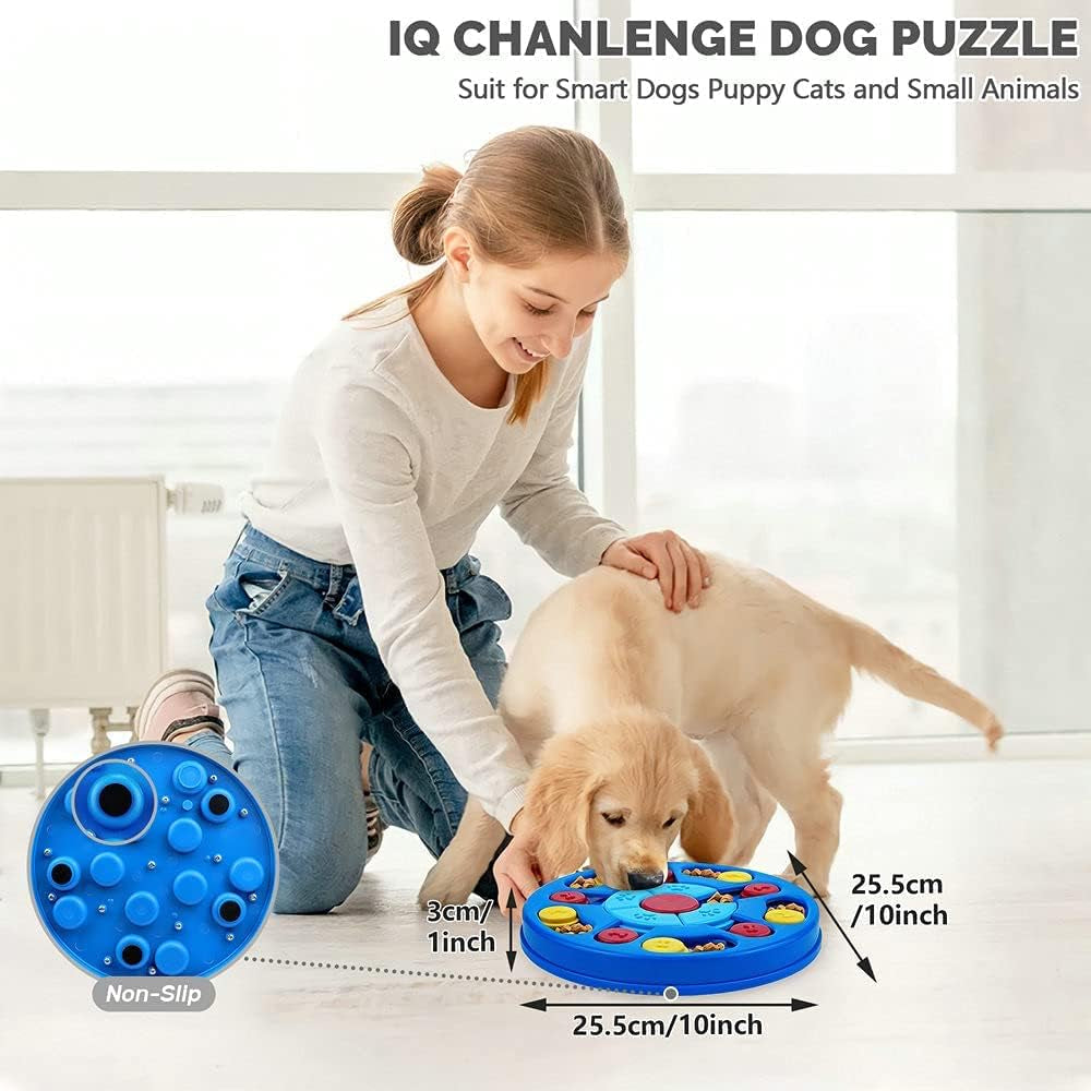 BrainBoost Treat Puzzle Feeder for Dogs