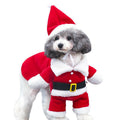 Festive Standing Pet Costume