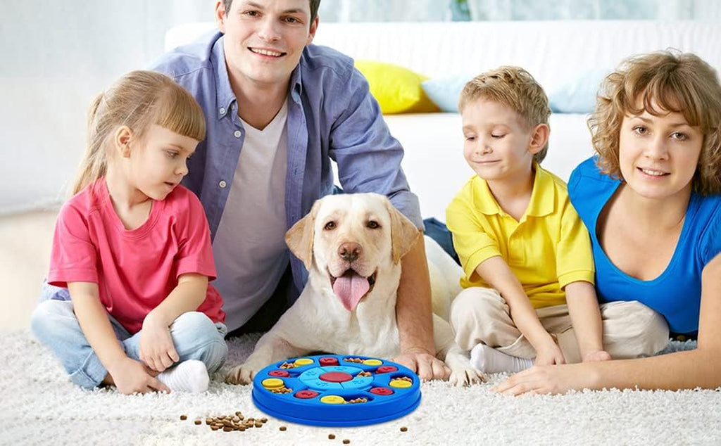 BrainBoost Treat Puzzle Feeder for Dogs