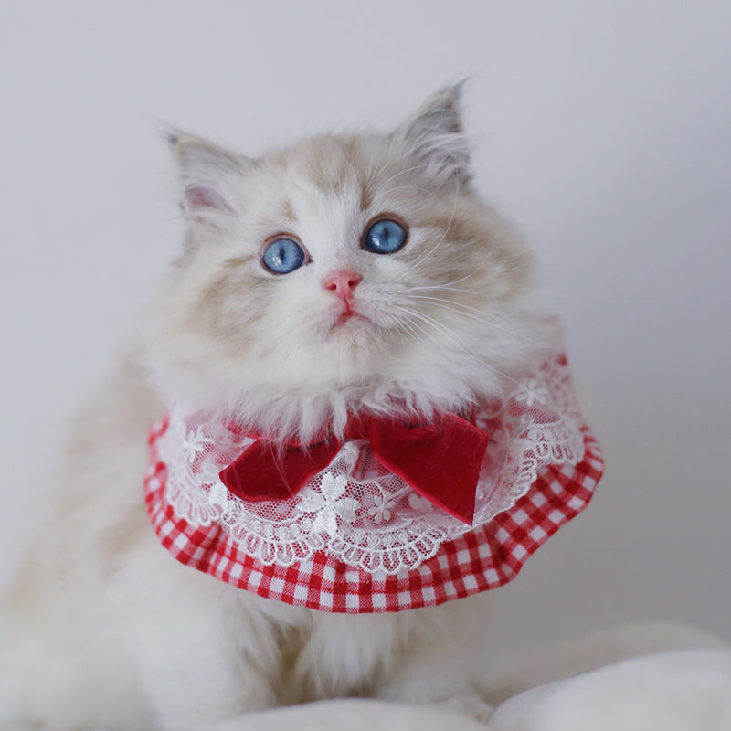 Cute Pet Photo Scarf Accessory