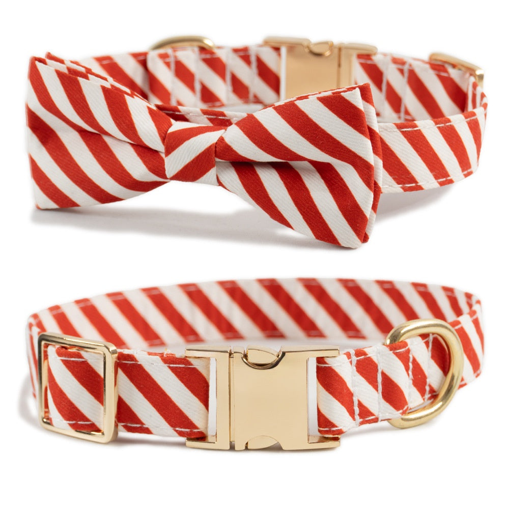 Personalized Anti-Lost Dog Collar