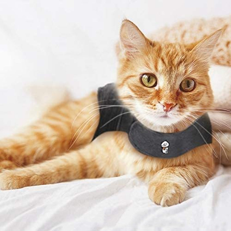 Lightweight Summer Pet Cooling Vest