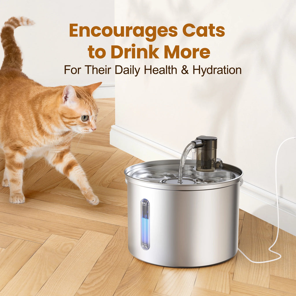 FreshFlow 3L Stainless Steel Pet Water Fountain