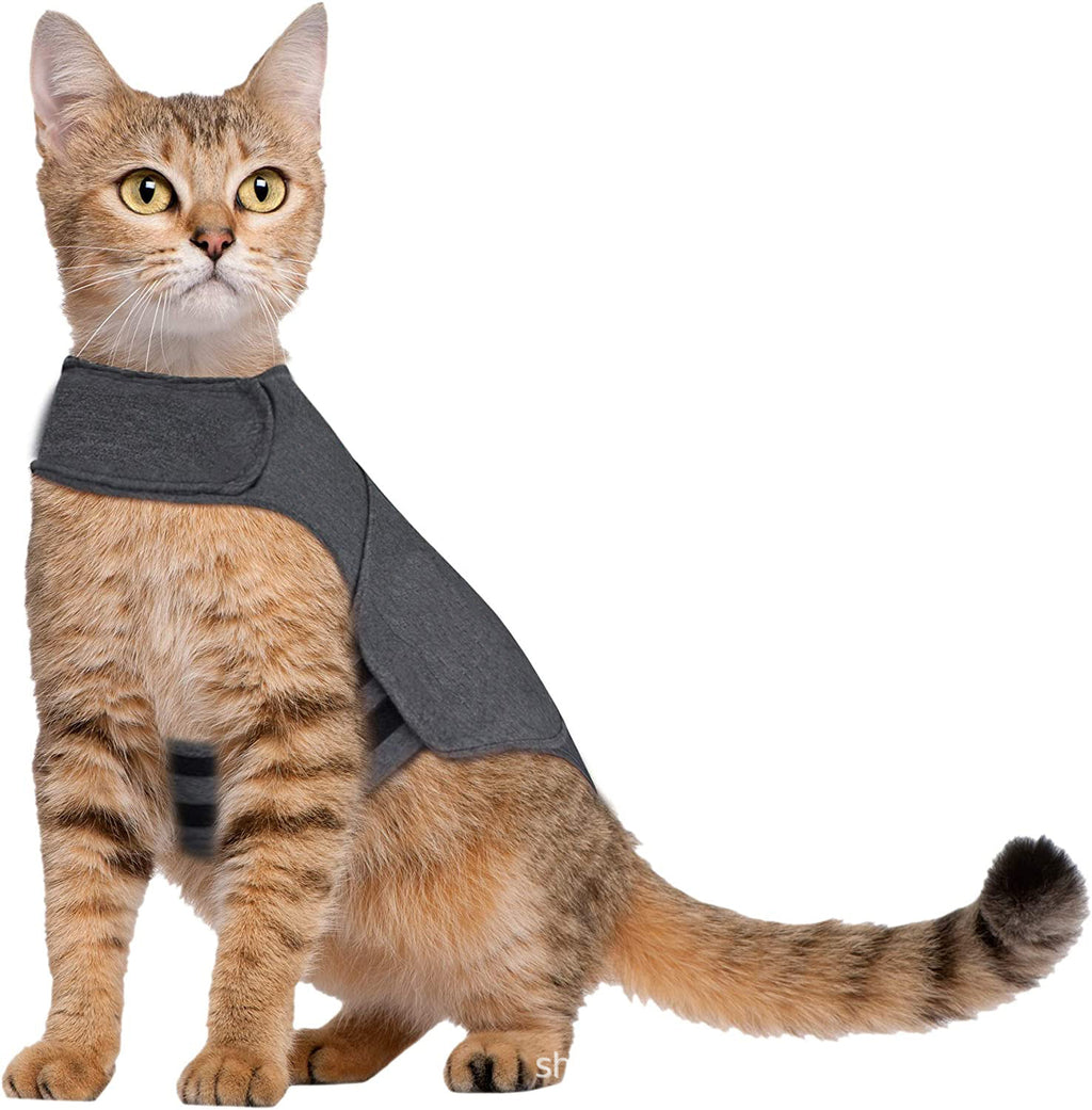 Lightweight Summer Pet Cooling Vest