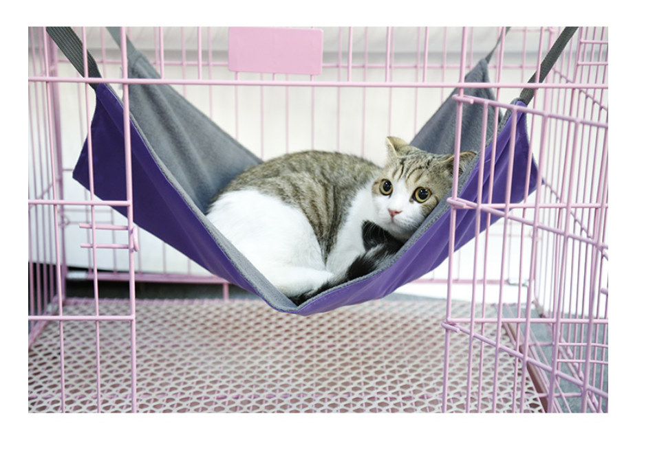 Hanging Cat Hammock Bed