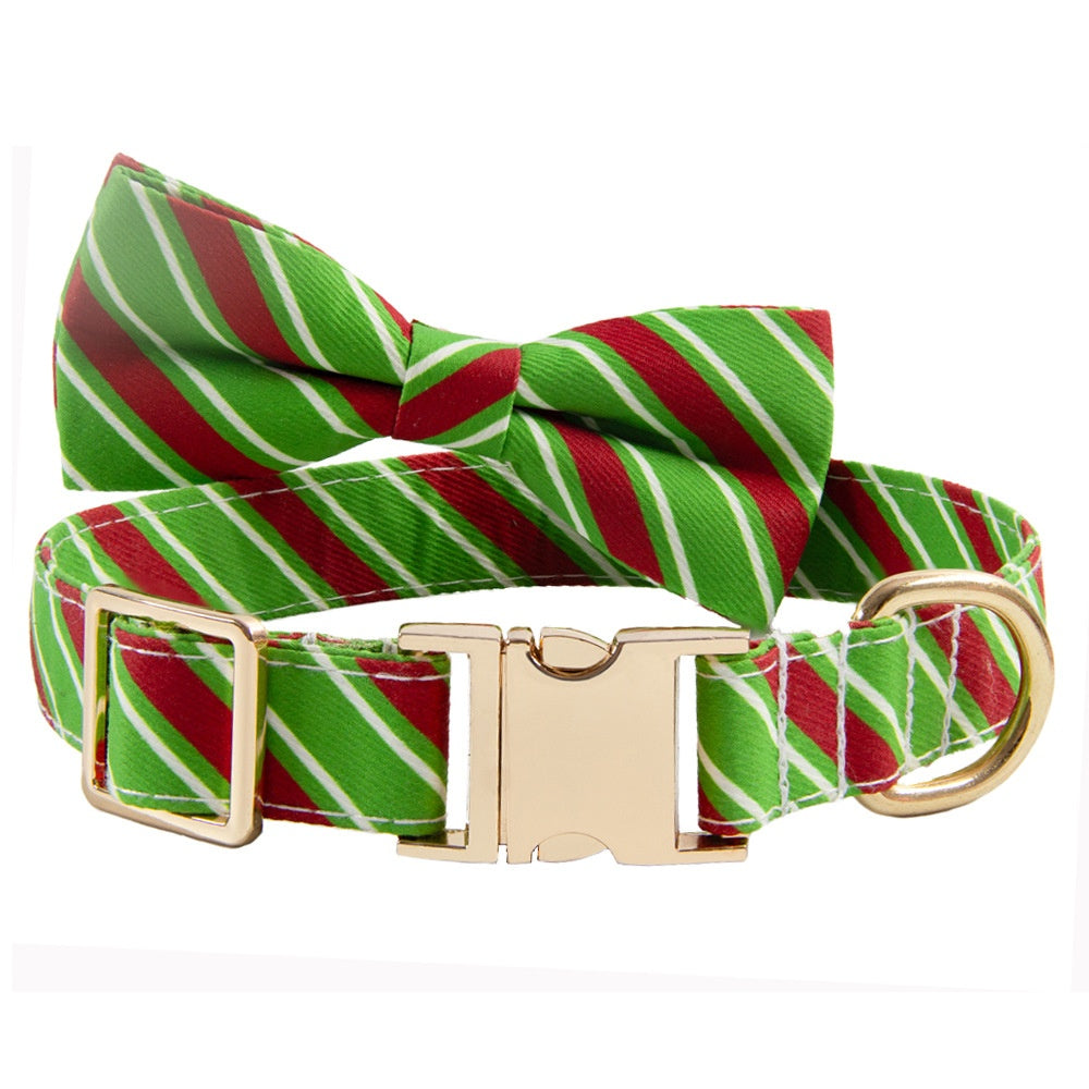 Personalized Anti-Lost Dog Collar