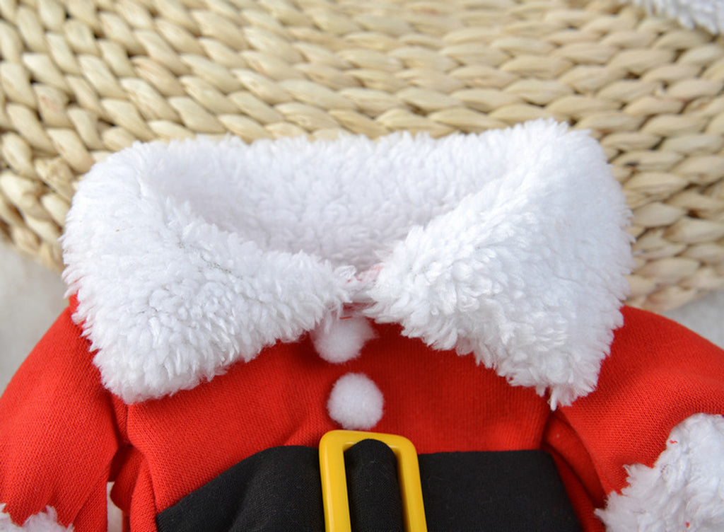 Festive Standing Pet Costume