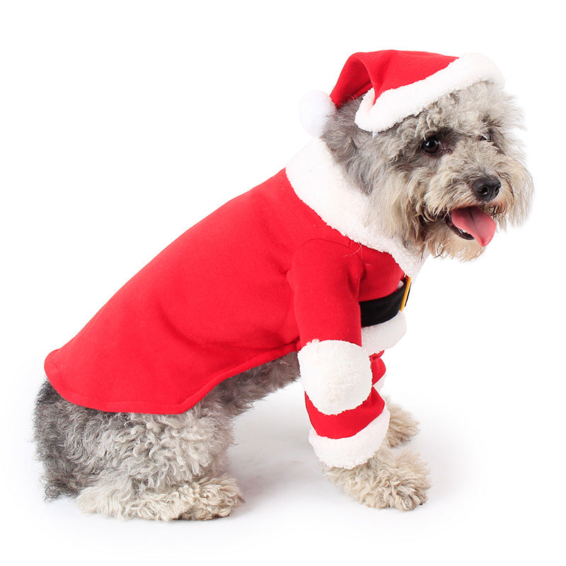 Festive Standing Pet Costume