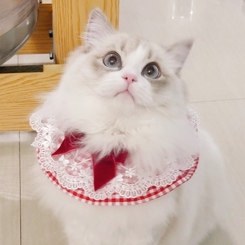 Cute Pet Photo Scarf Accessory