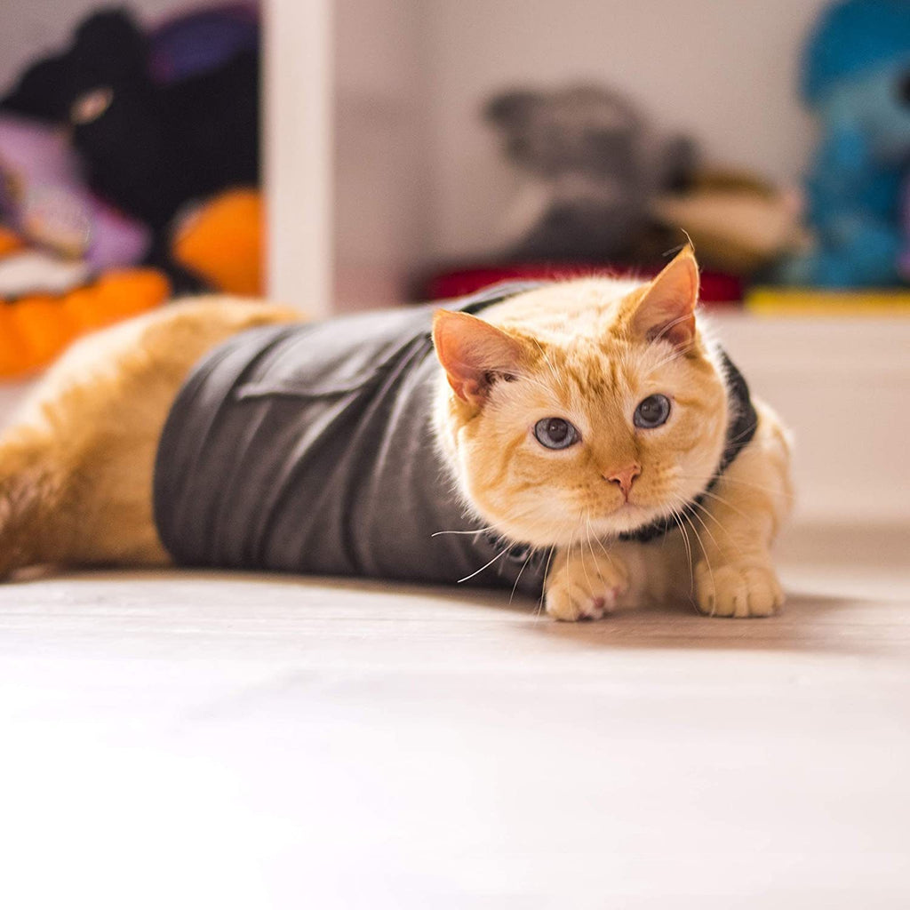 Lightweight Summer Pet Cooling Vest