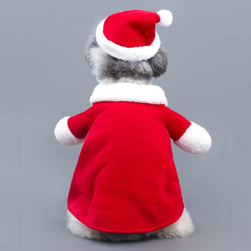 Festive Standing Pet Costume