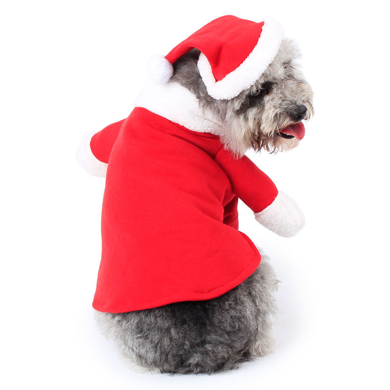 Festive Standing Pet Costume