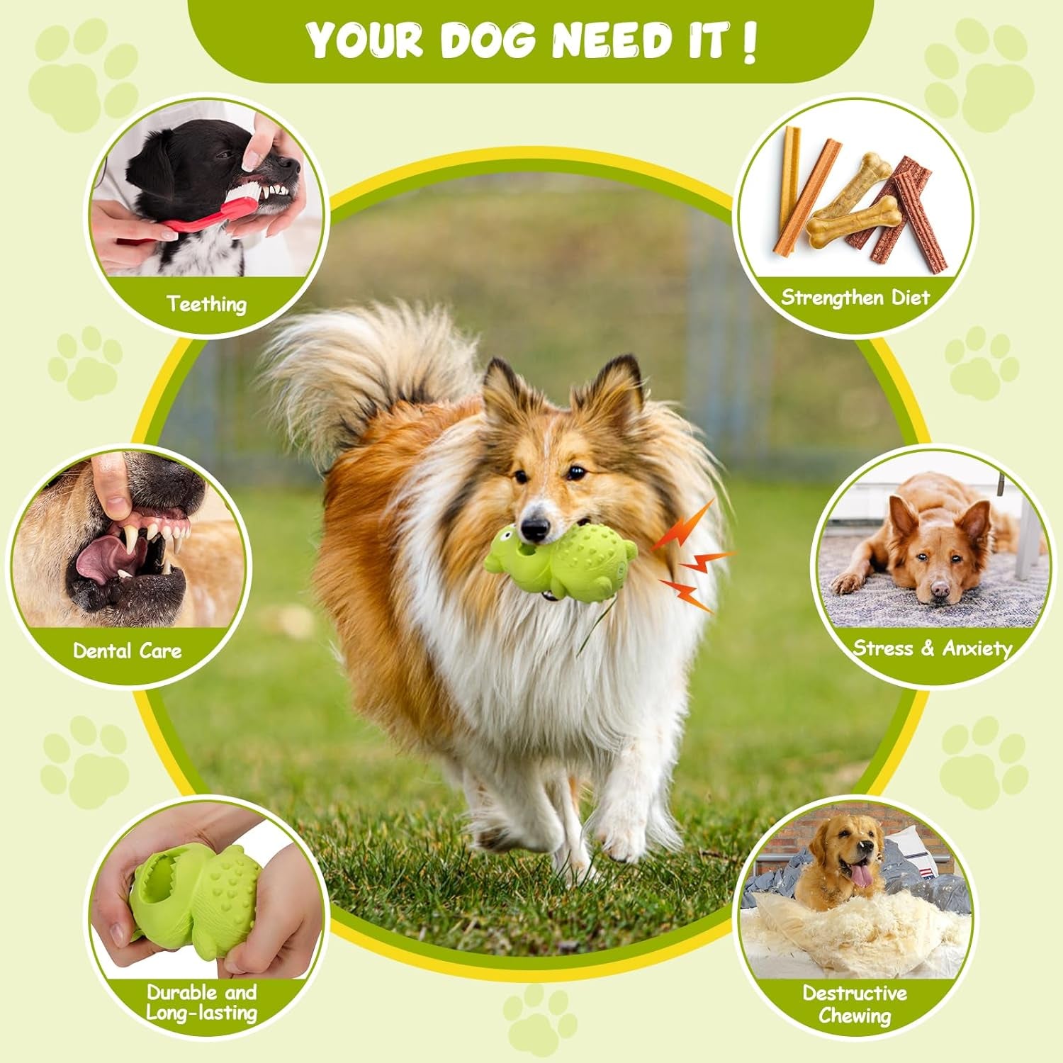 Natural Rubber Squeaky Chew Toy for Dogs