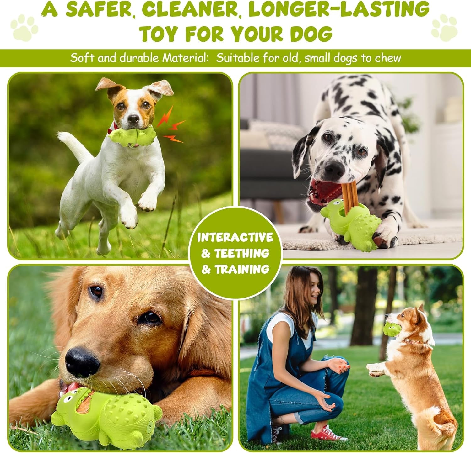 Natural Rubber Squeaky Chew Toy for Dogs