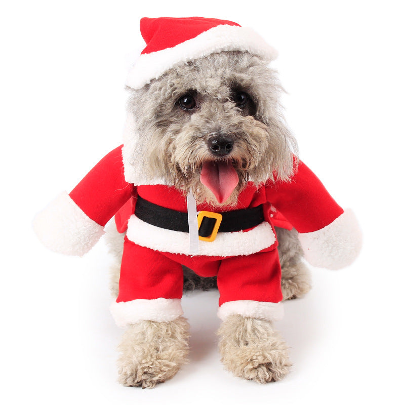 Festive Standing Pet Costume