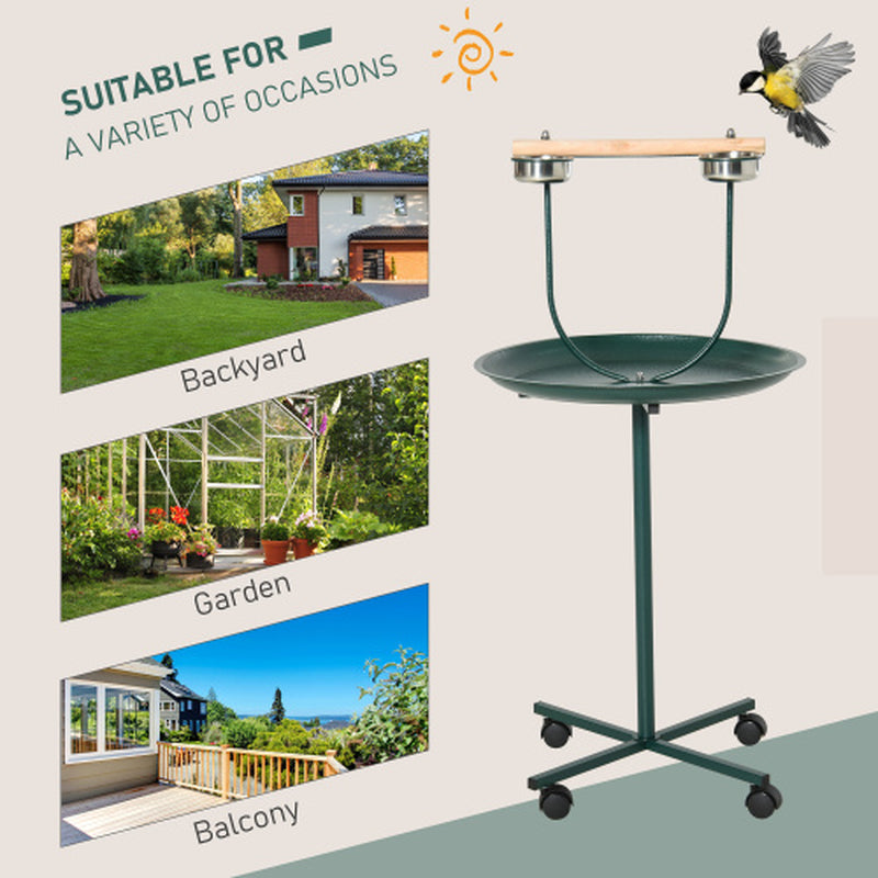 Rolling Bird Training Perch & Play Stand