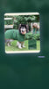 TikTok ad video — Quick-Dry Microfiber Pet Bathrobe