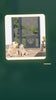 TikTok ad video — Scratch-Resistant Interior Pet Door